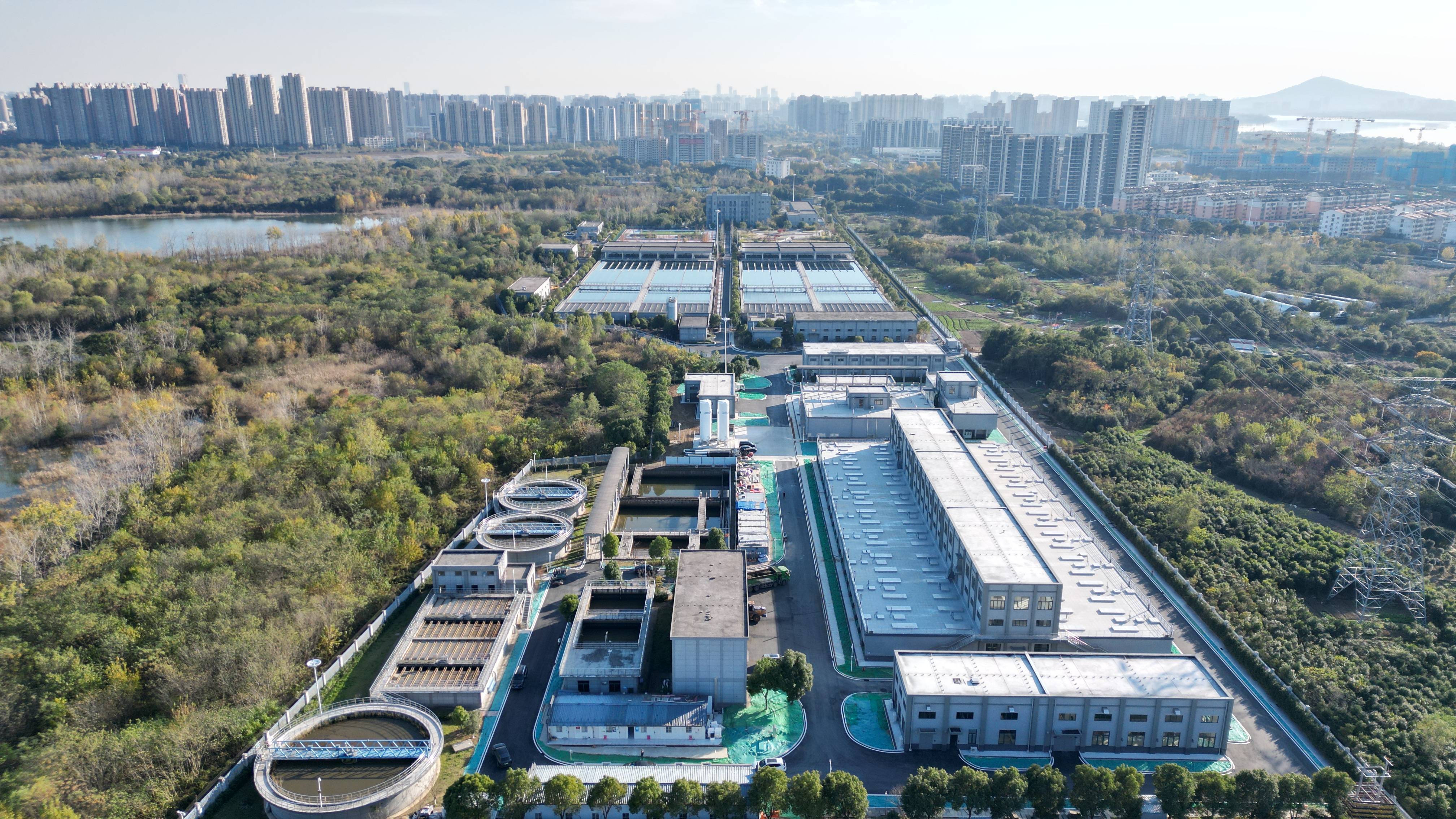 西宁市合肥专业企业价值增长(合肥市重点企业产业目录)