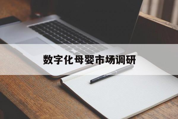 西宁市数字化母婴市场调研(数字化母婴市场调研报告)